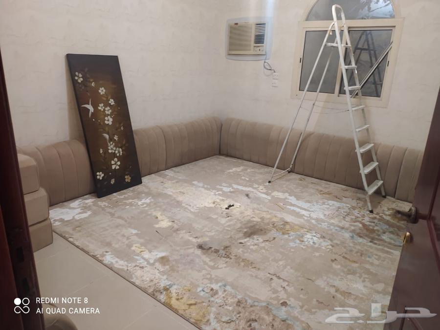 Back Support64613912893571111