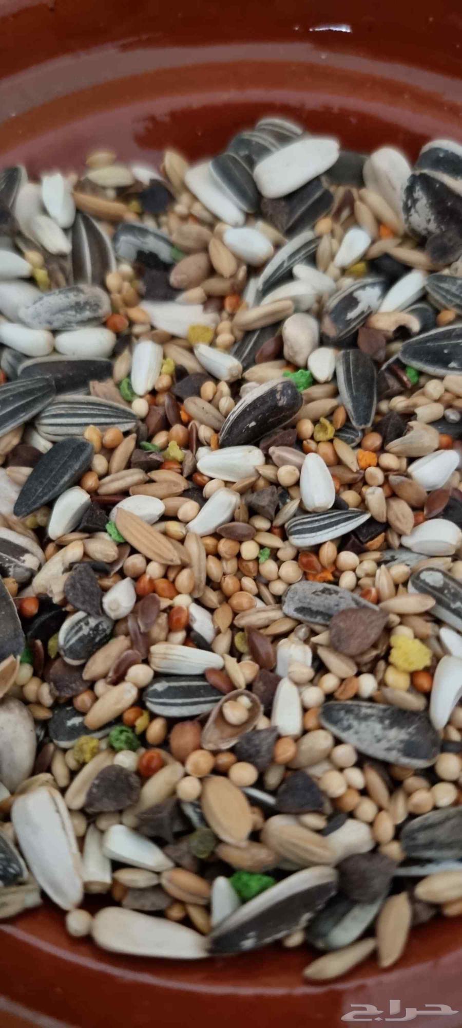 Rose, Fisher, Crowan, and Cocktail Feed64610281173891110