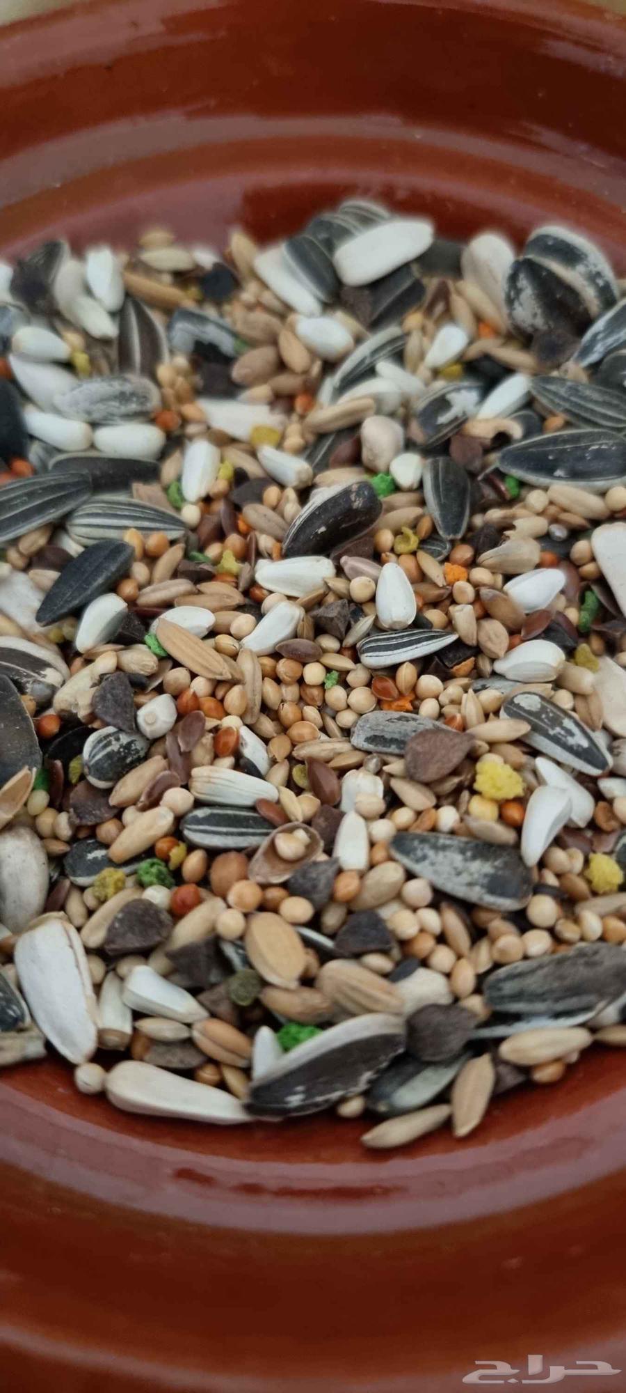 Rose, Fisher, Crowan, and Cocktail Feed64610281173891111