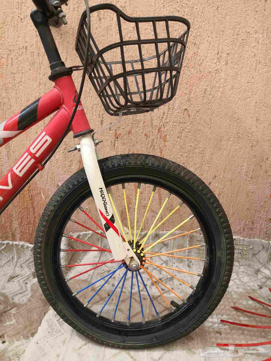 دراجه رامبو مقاس 16 للاطفال نضيف ما شاء الله64607283656963112