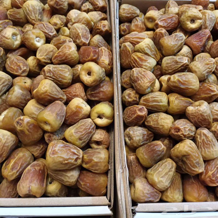 سكري مفتل حجم طيب كبير مع وسط الخرفه الثانيه من عنيزه64614447261313110