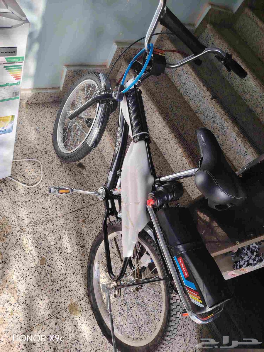 Rambo Endonose Cycle No. 164607694093441111