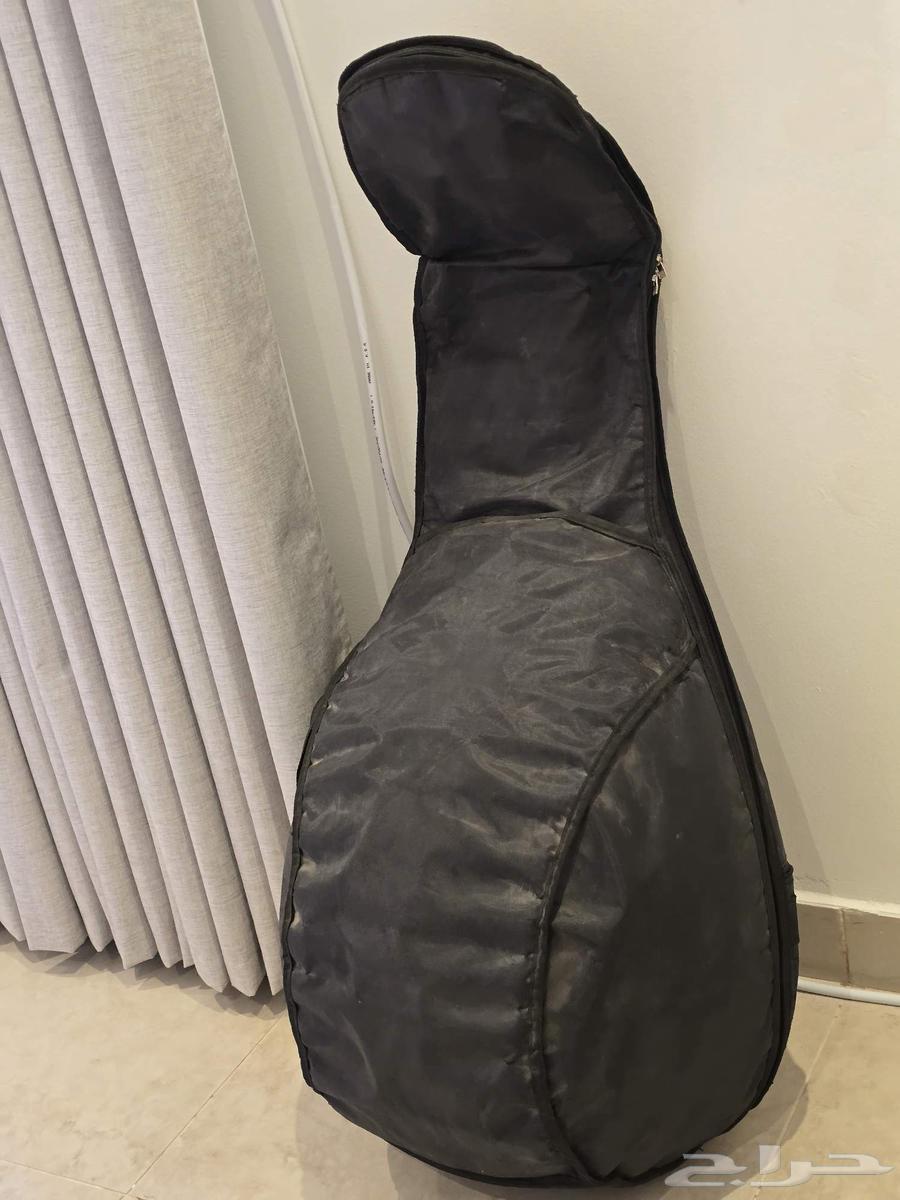 عود مصري للبيع المستعجل64609373819138113