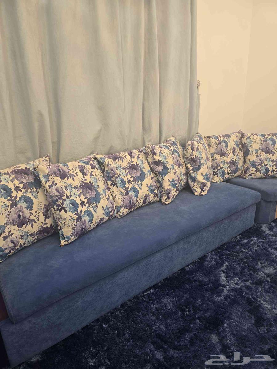 Carpet. Pillows. Sofa. Curtains. Table64606560599298111