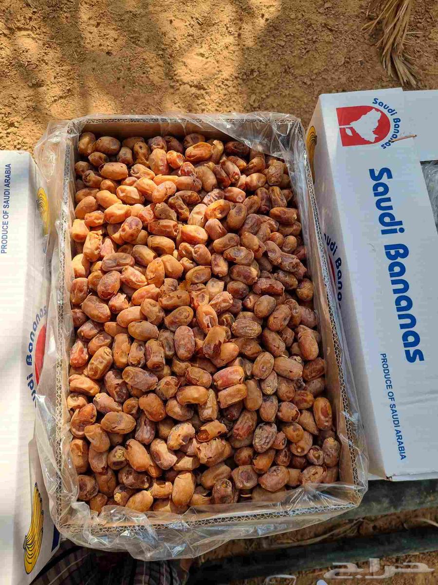 Tamr Khallas64607694100609110