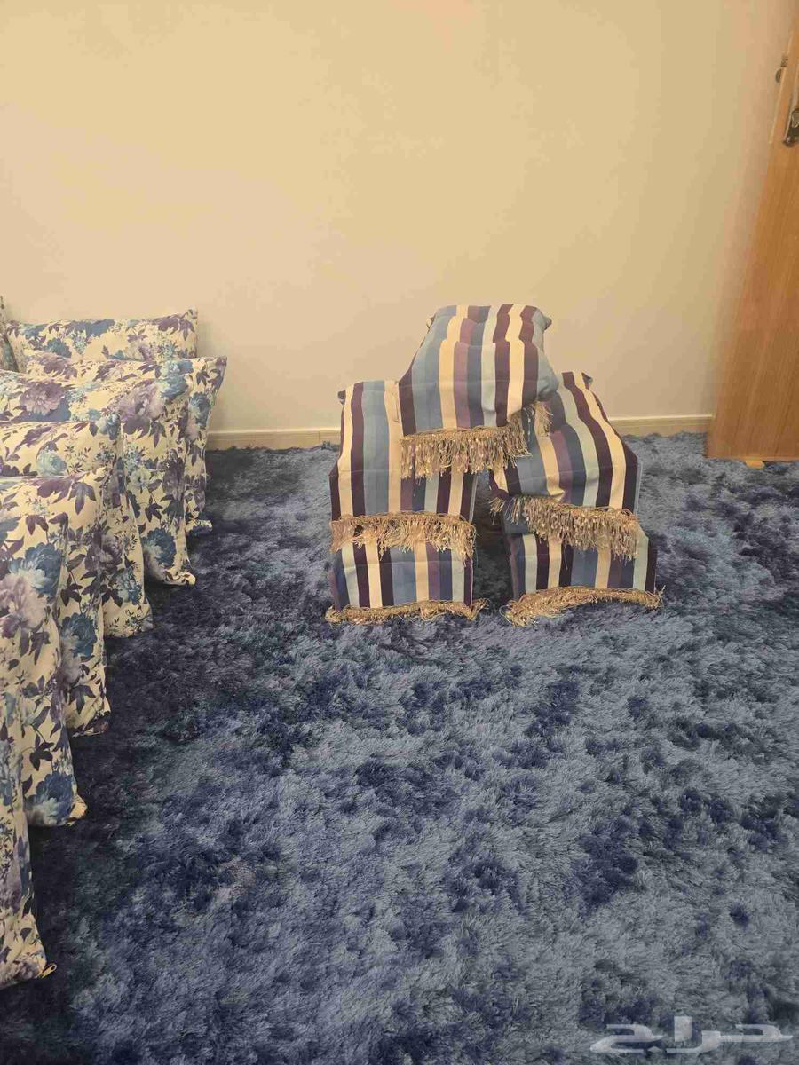 Carpet. Pillows. Sofa. Curtains. Table64606560599298112