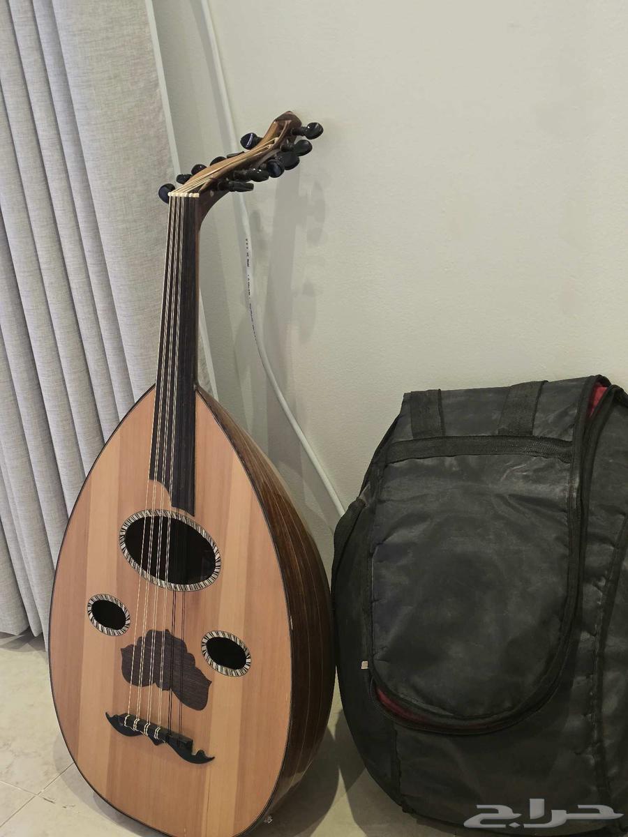 عود مصري للبيع المستعجل64609373819138112