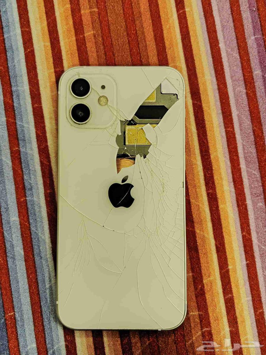 iPhone 12 Standard64615436001665113