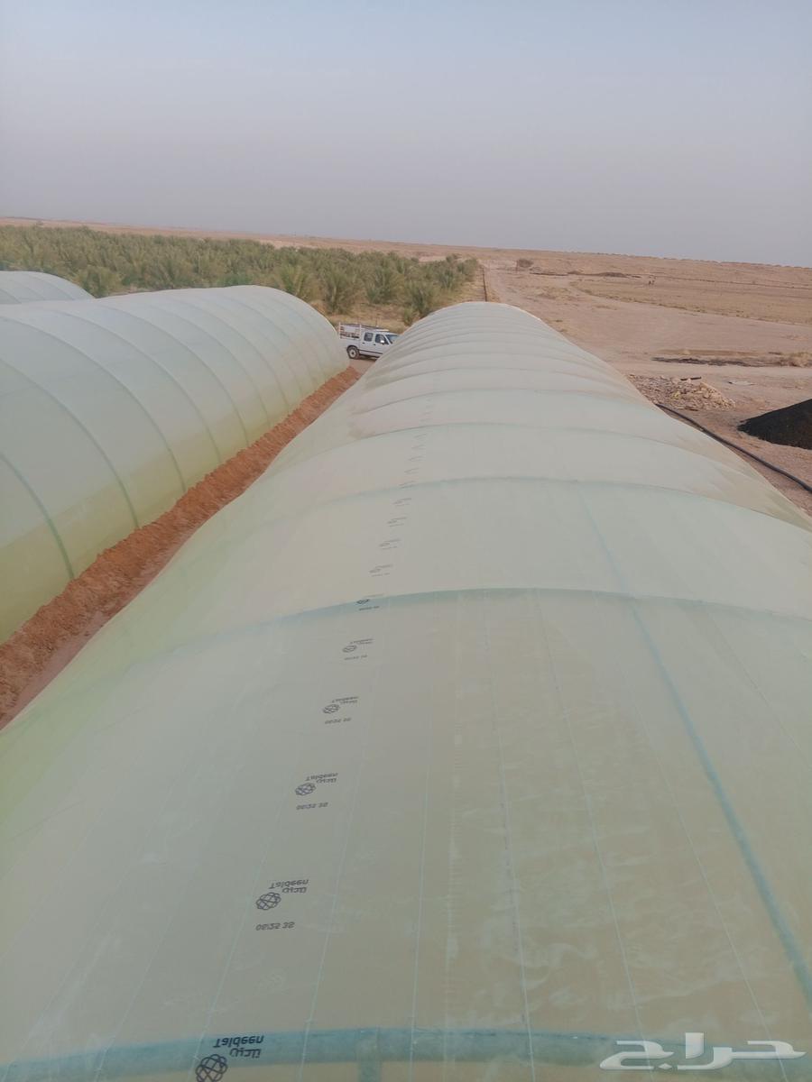 معلم ف  وتر يب بيوت محمي64391962697602111