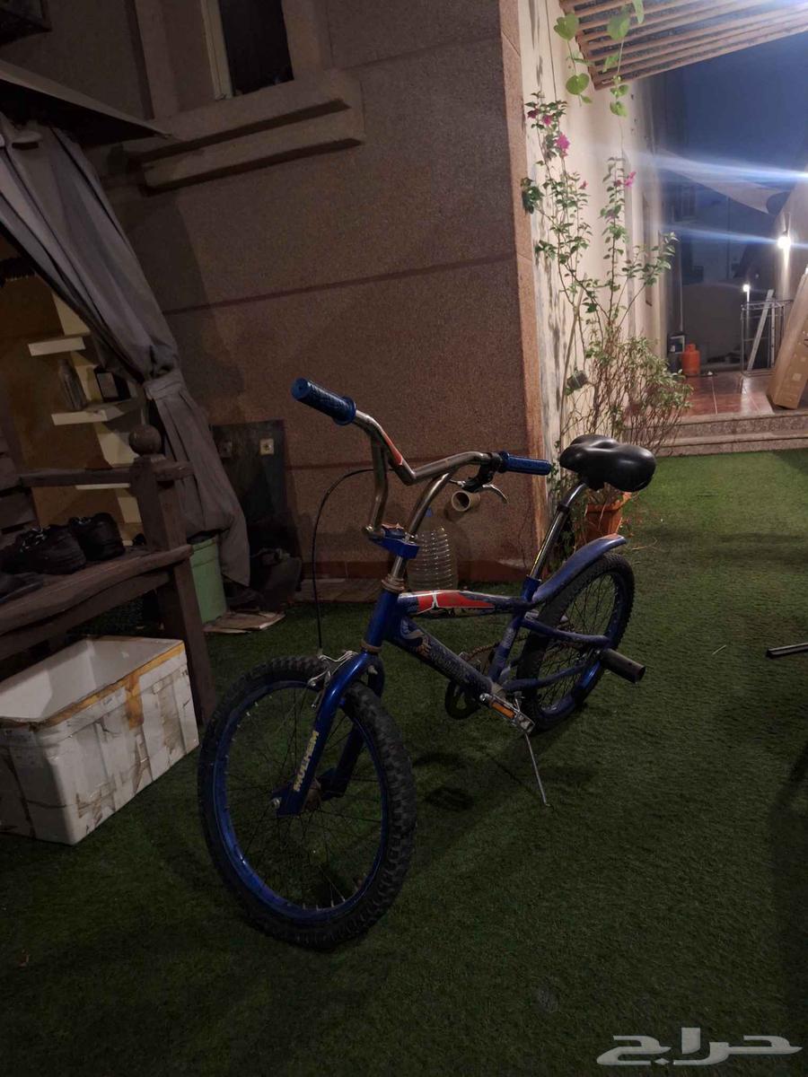 Cobra bicycle for sale at 350 SAR; selling for 150 SAR; rear rim needs replacement64606160981378110