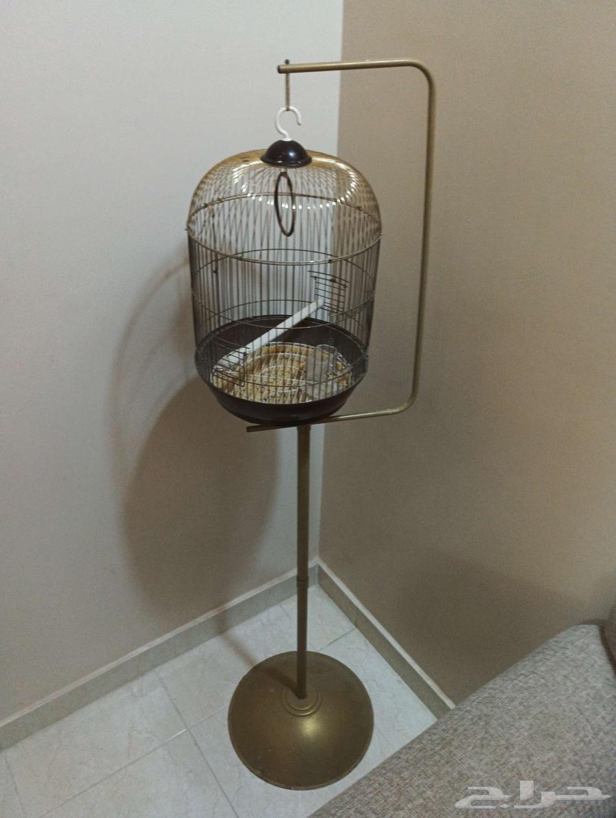 قفص طيور زينة64610679079297111