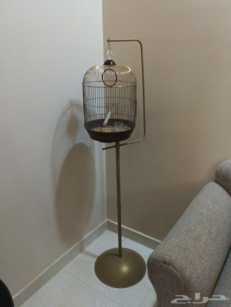 قفص طيور زينة64610679079297110