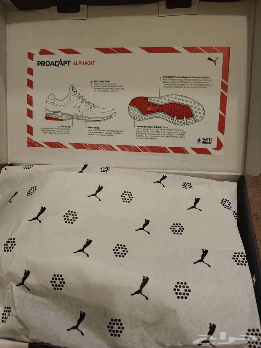 أحذية بوما (جديدة) مقاس ٤١ مصنوعة في فيتنام64614868806786113