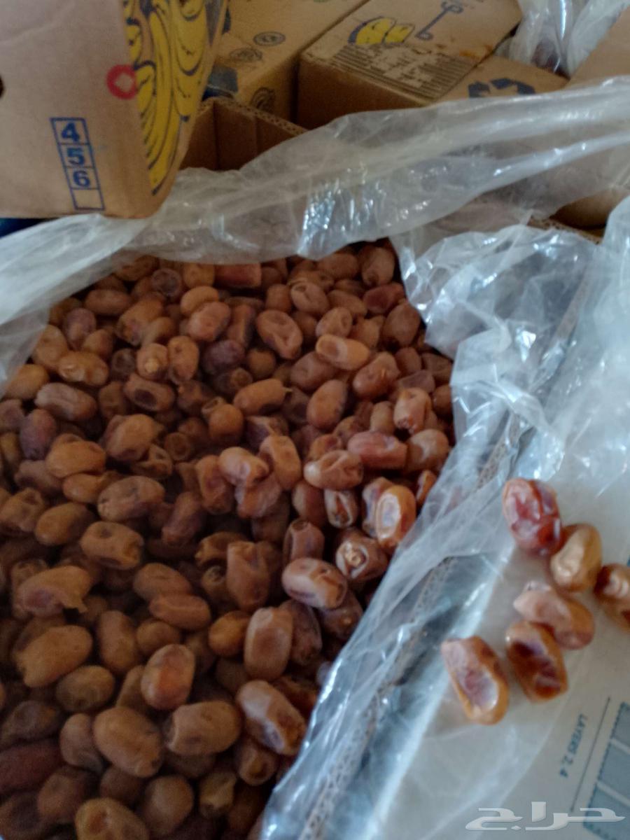 عندنا تمر خلاص للبيع64610741430274112