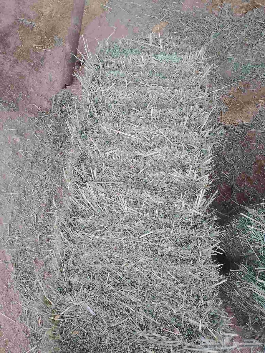 Peace be upon you and the mercy of Allah. New, soft, high-quality Rhodes, free of impurities.64608746069761113