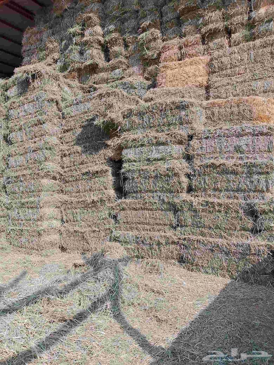 Peace be upon you and the mercy of Allah. New, soft, high-quality Rhodes, free of impurities.64608746069761110