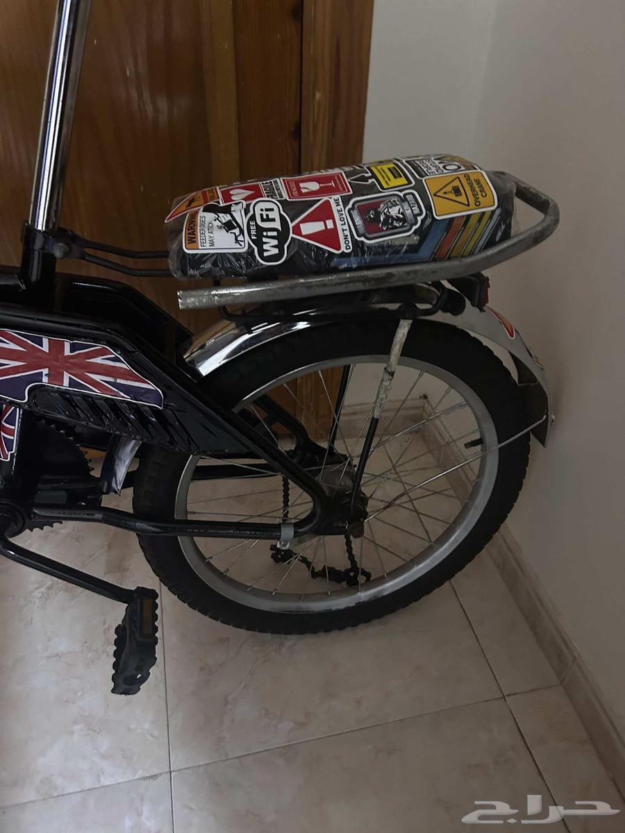 راميو اندنوسي اصلي64606160991617114