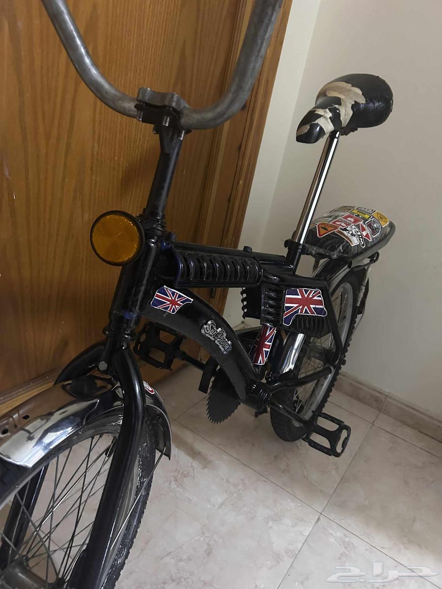 راميو اندنوسي اصلي64606160991617112