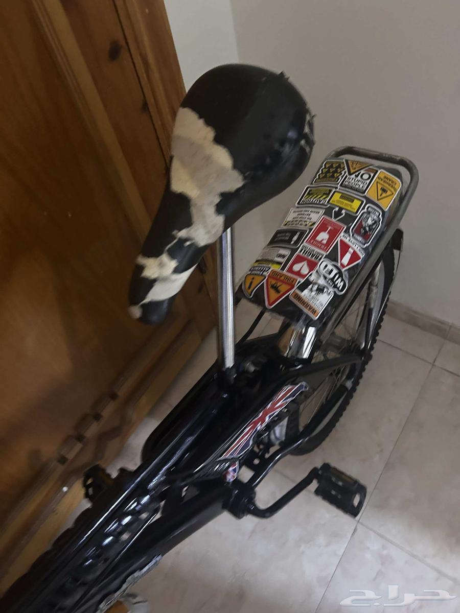 راميو اندنوسي اصلي64606160991617113