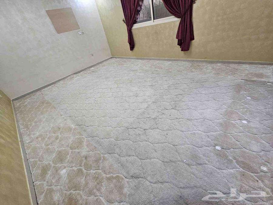 سجادة 5 في 4 تم البيييع64612189499523110