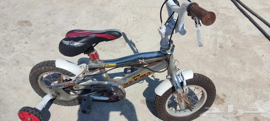 للبيع سيكلين مقاس 1264609635988098111