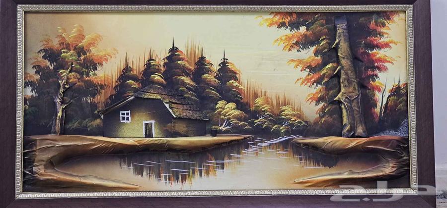 لوحه في حالة جيده السعر 100 قابل للتفاوض64607471484161112