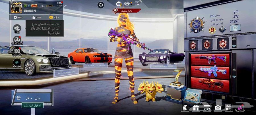 حساب ببجي اسطوري64608479342595114