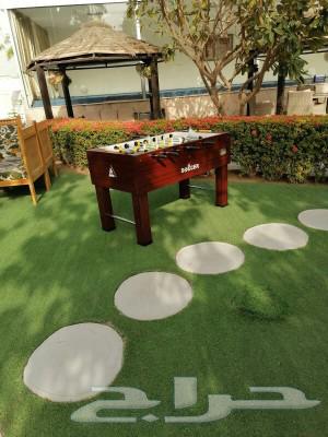 Billiard Tables for Entertainment and Game Parlors – New Tennis, Hockey, and Ferfera Tables64615436058753114