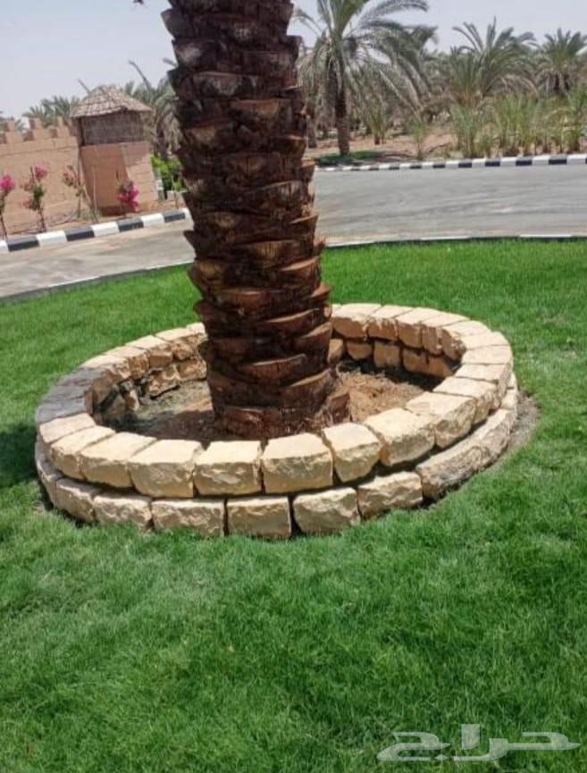مختصون في اعمال الحجر الطبيعي التواصل64155776712962114