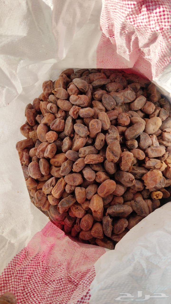 Tamr for Halal64607978708227111