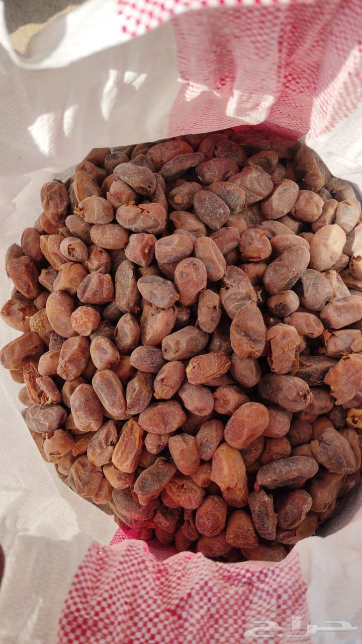 Tamr for Halal64607978708227110