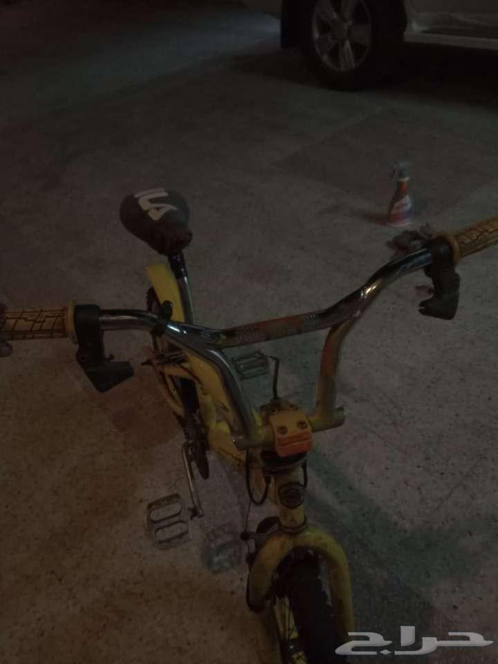 سيكل للبيع كوبرا64610083001346113