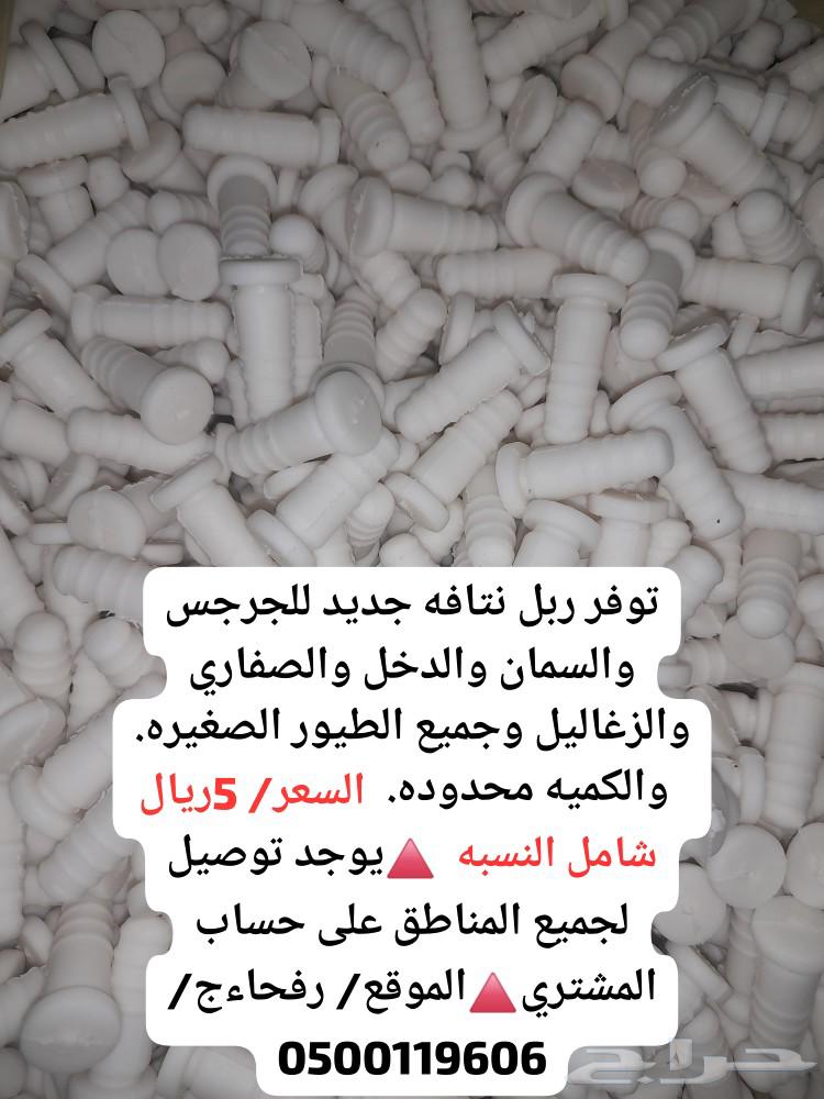 ربل نتافه جديد للجرجس والسمان والدخل والصفاري والزغاليل وجمي64615016531073110