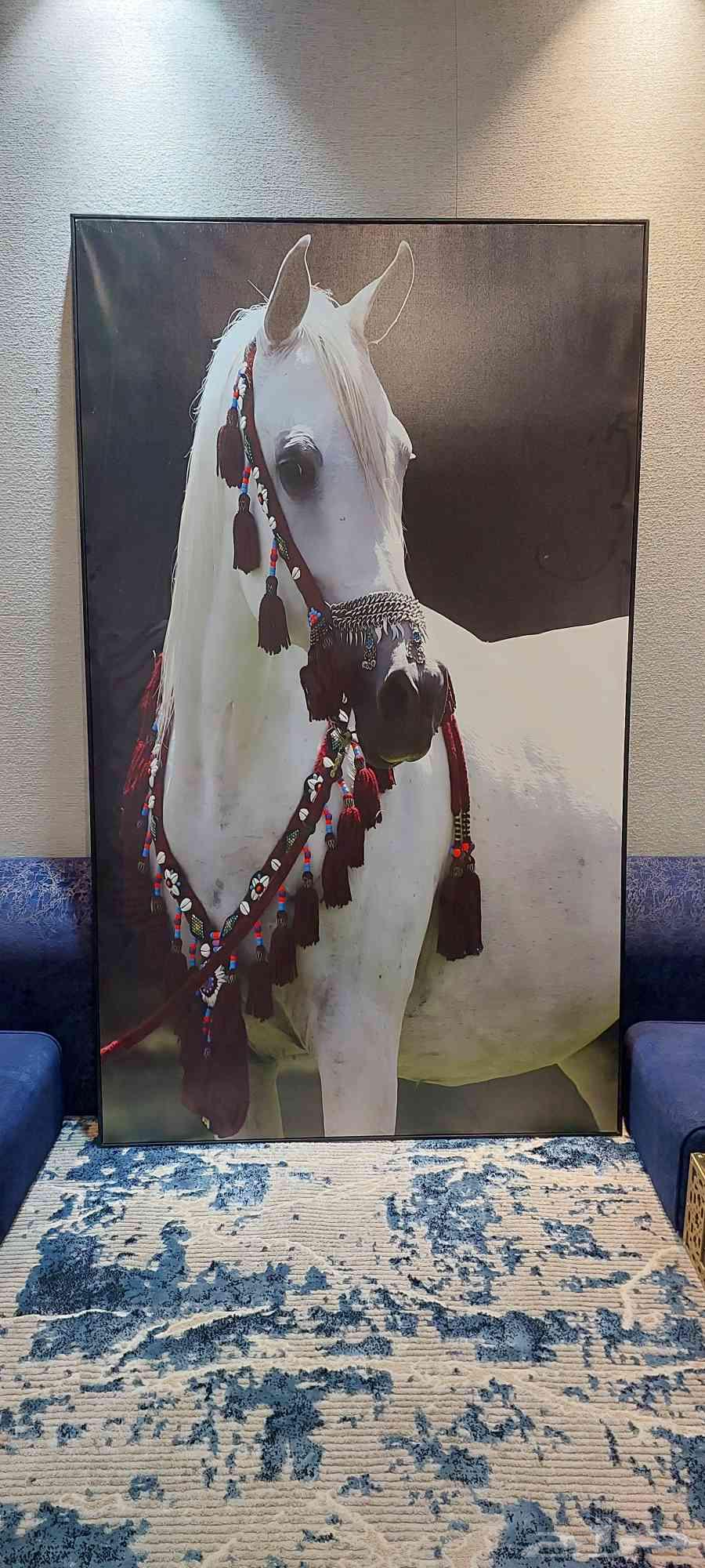 منظر صورة خيل 2م في متر وعشرين سم64606061323393110