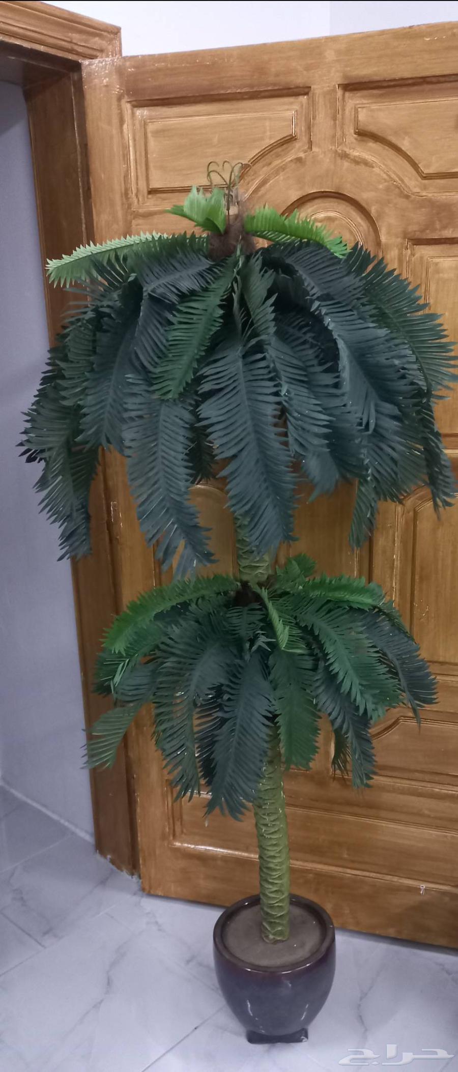 Artificial palm tree for sale, 200 SAR, negotiable64609660772226111