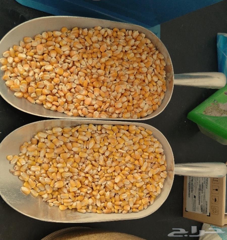 (طاحون الديرة) يتوفر لدينا الشام اليمني وغيرة64611292507523110