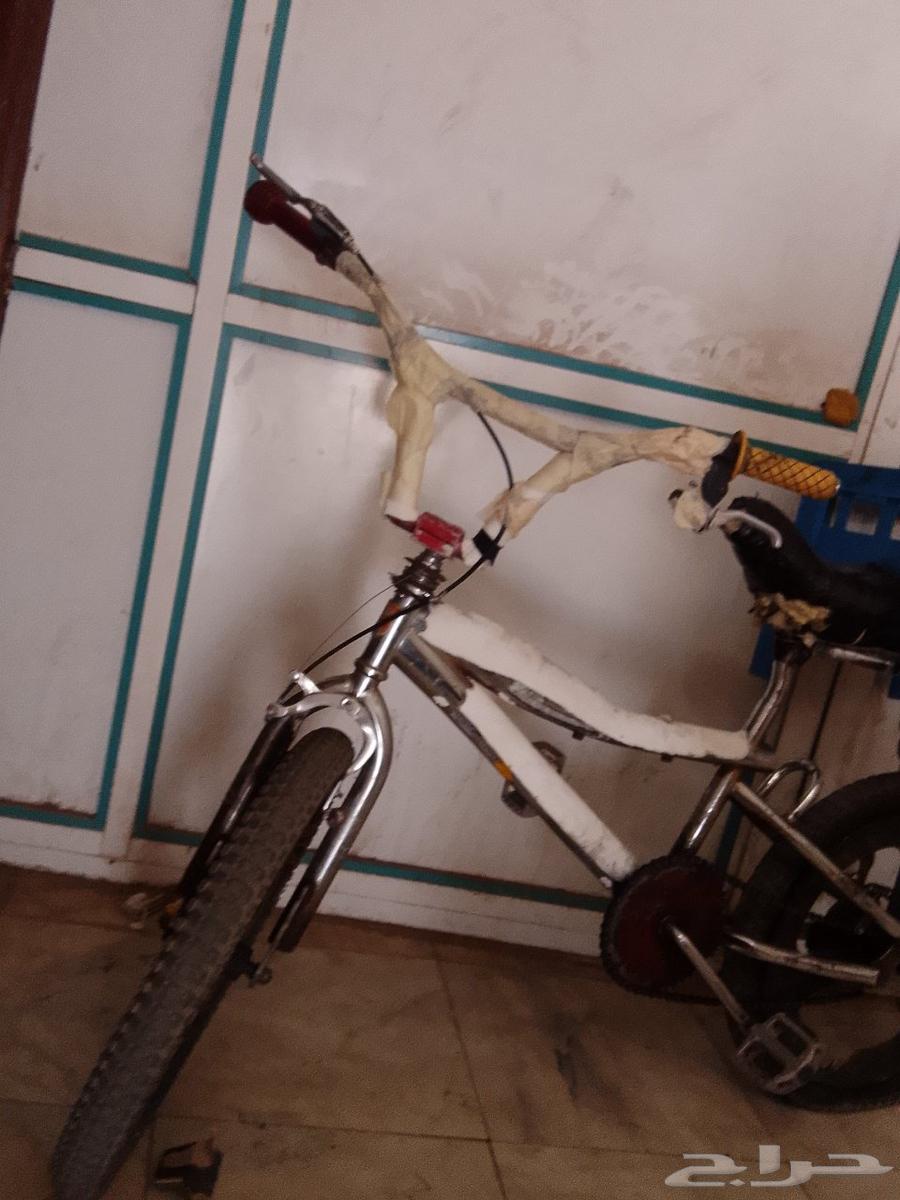 القصيم الرس السوق يصل المبلغ الدراجه الى 20064608379066115110