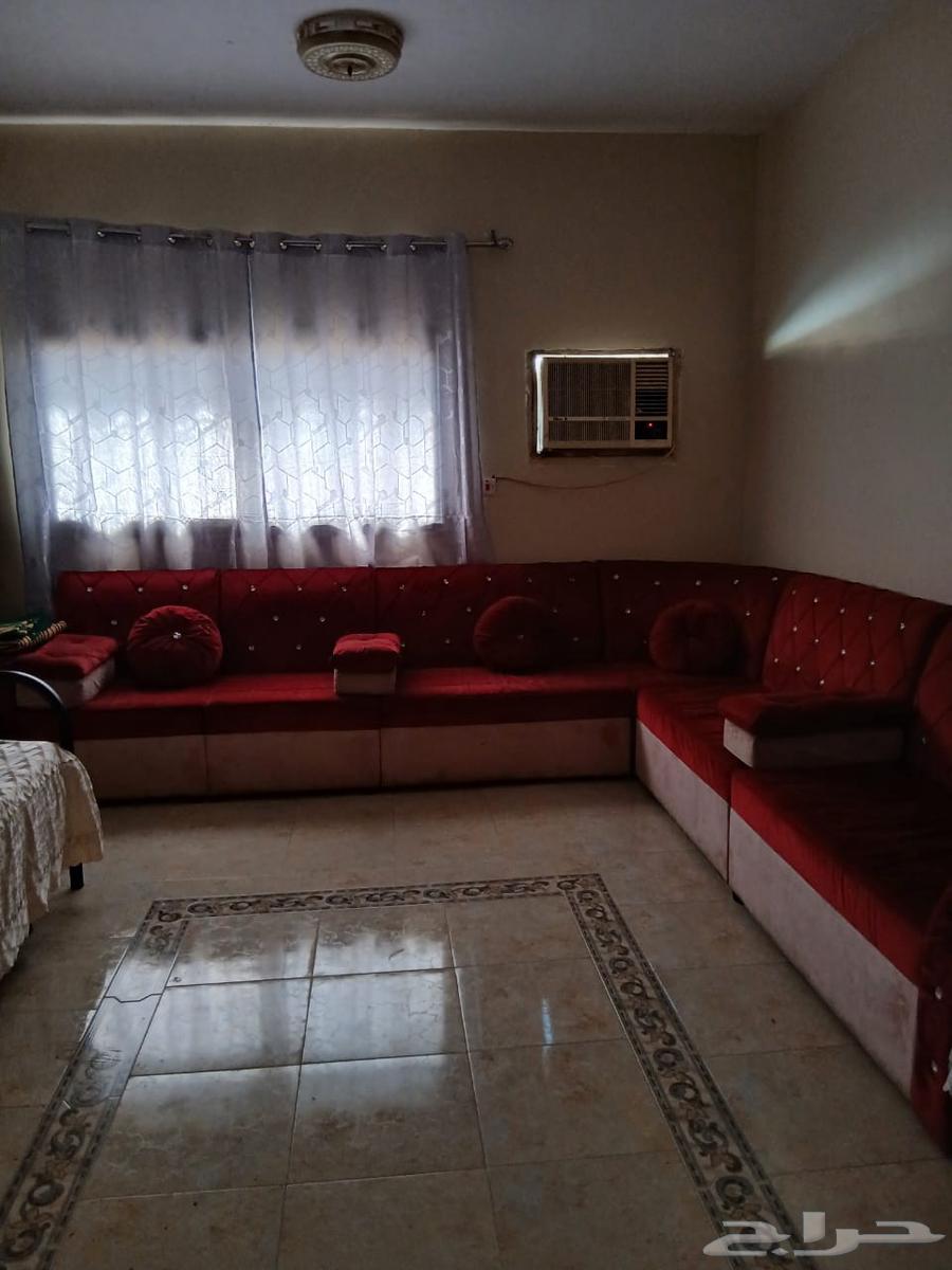 New sofa with no issues for sale at 500 SAR, negotiable64611330422017110