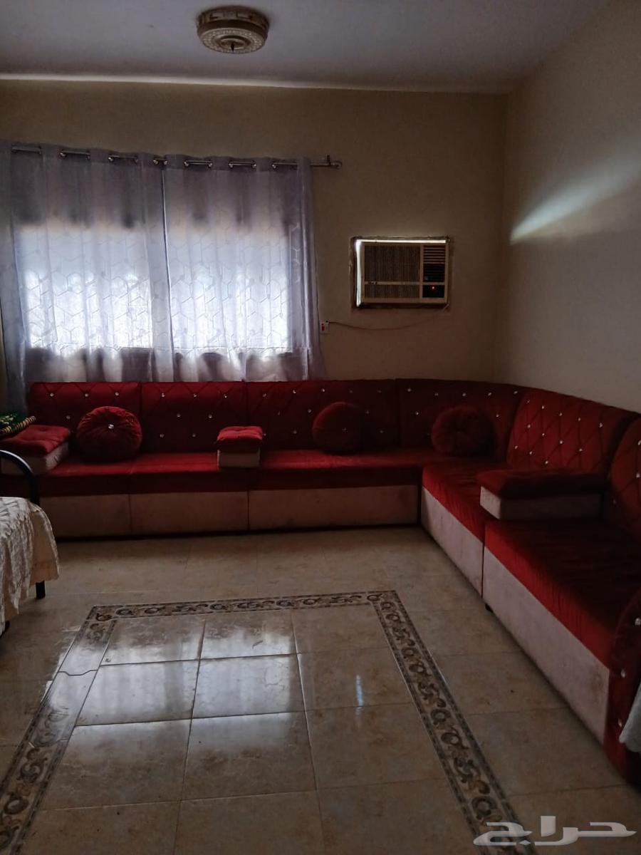 New sofa with no issues for sale at 500 SAR, negotiable64611330422017111