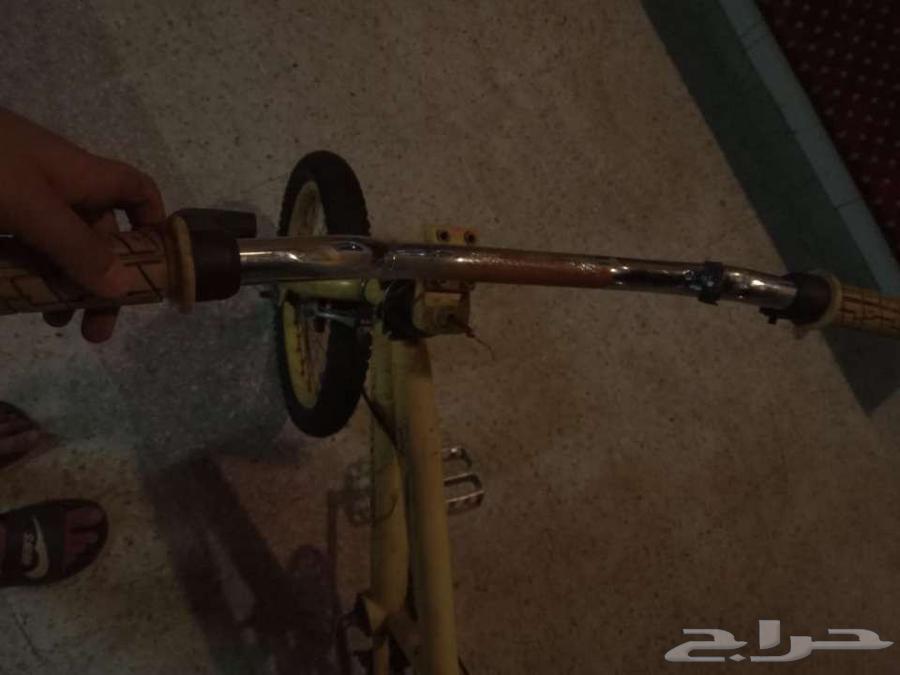 سيكل للبيع كوبرا64610083001346111