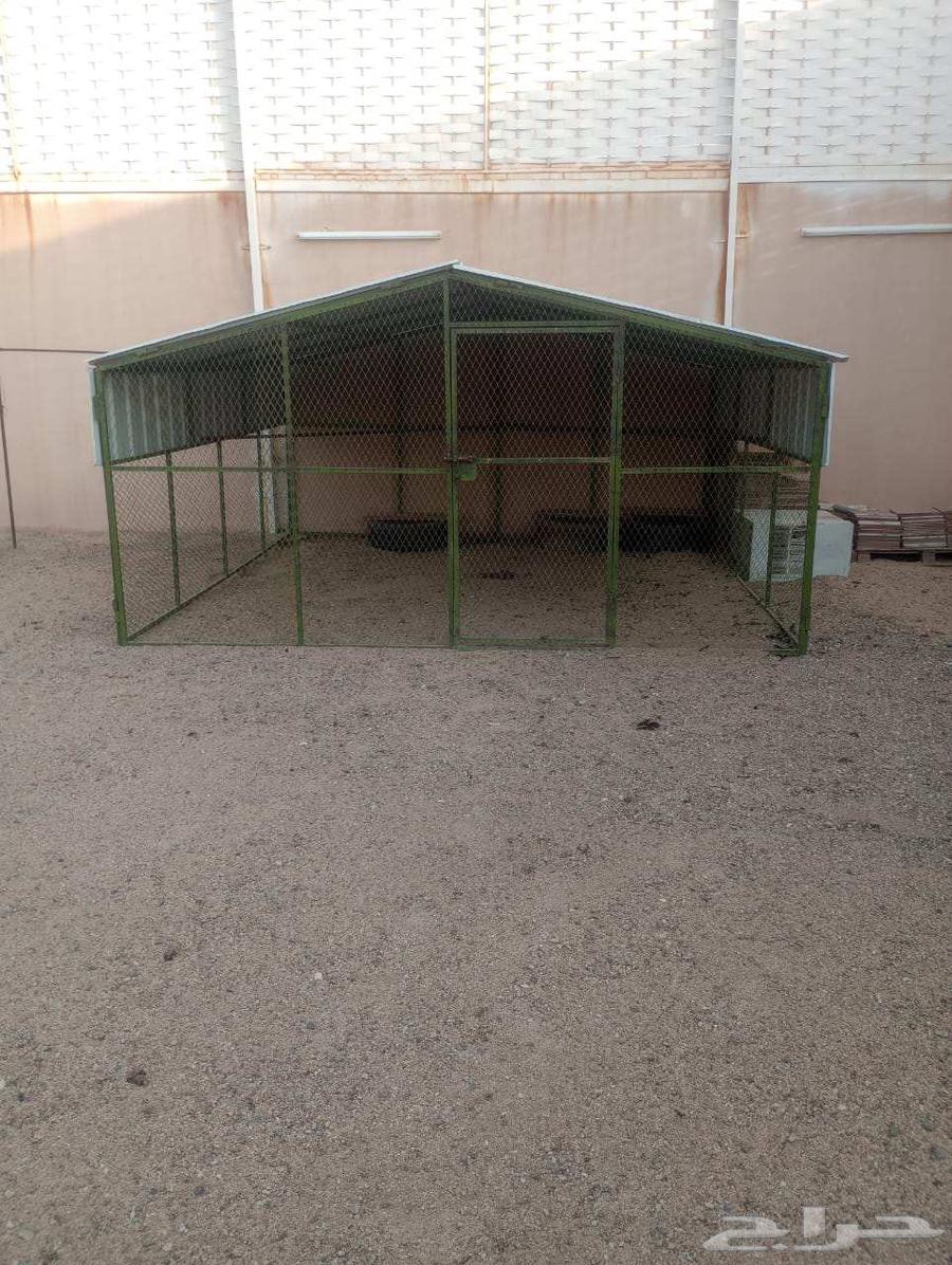 قفص او شبك 4 في 464613937794306111