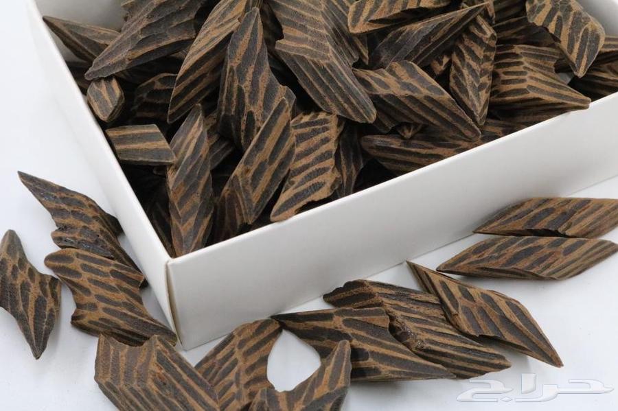 عروض العود الفاخر خدمه توصيل سريع64624989731715110