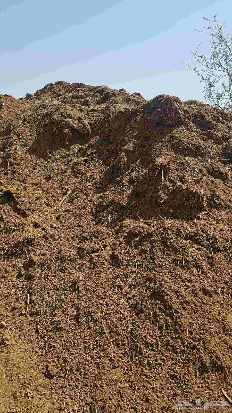 سماد غنم قديم للبيع سواء يالكيس او السكس64620017490562110