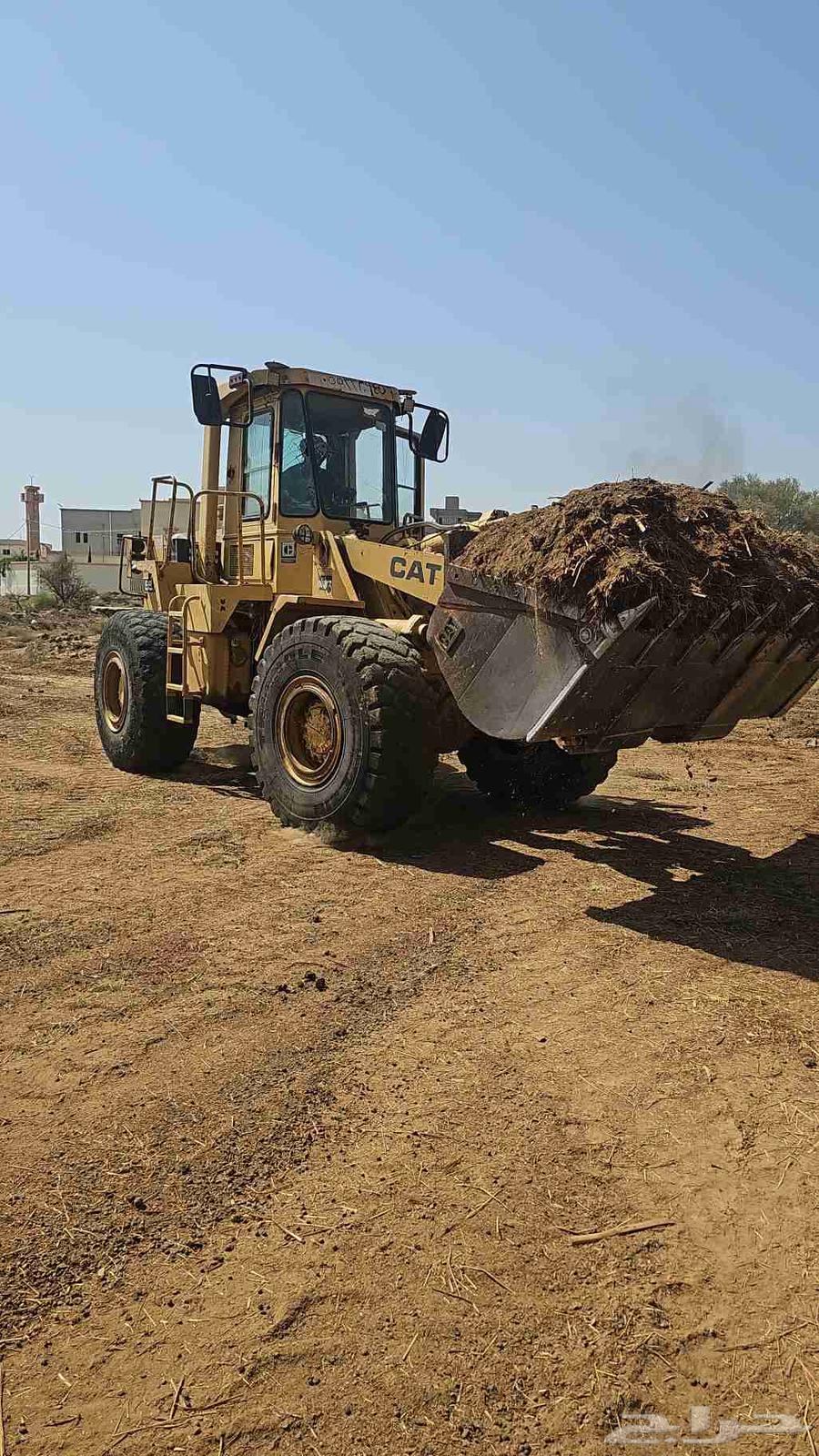 سماد غنم قديم للبيع سواء يالكيس او السكس64620017490562111