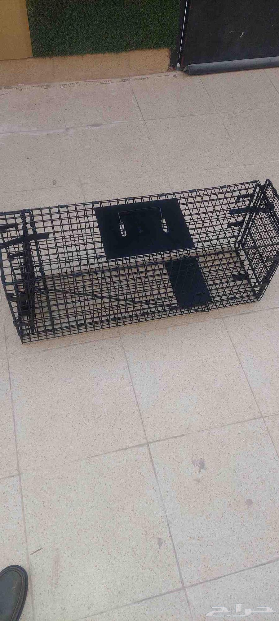 مصيده قطط جباره64622924492161110