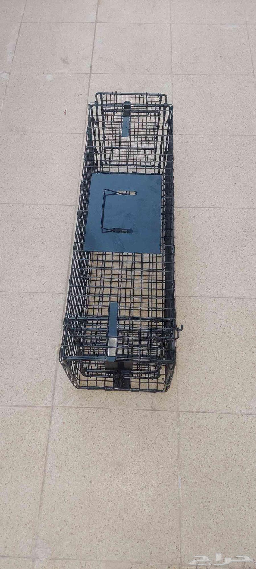 مصيده قطط جباره64622924492161111