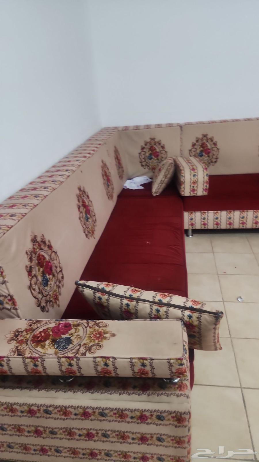 كنب مجلس 250 ريال دولاب 2 باب 10064621129785730110