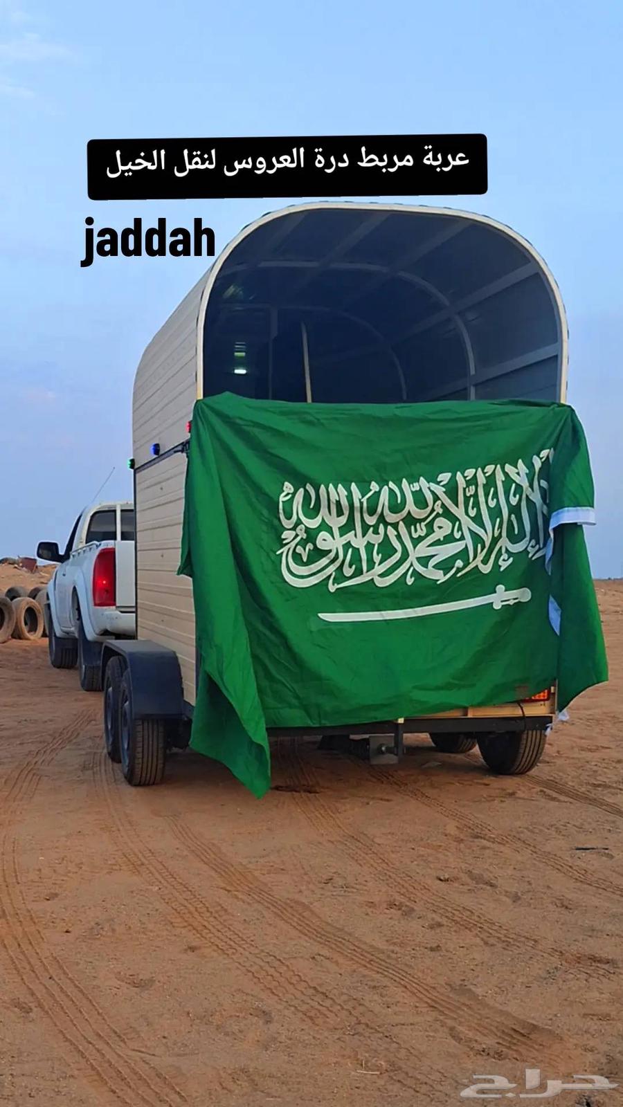 عربة خيل راسين جاهزه للنقل داخل وخارج جده64417903836034110