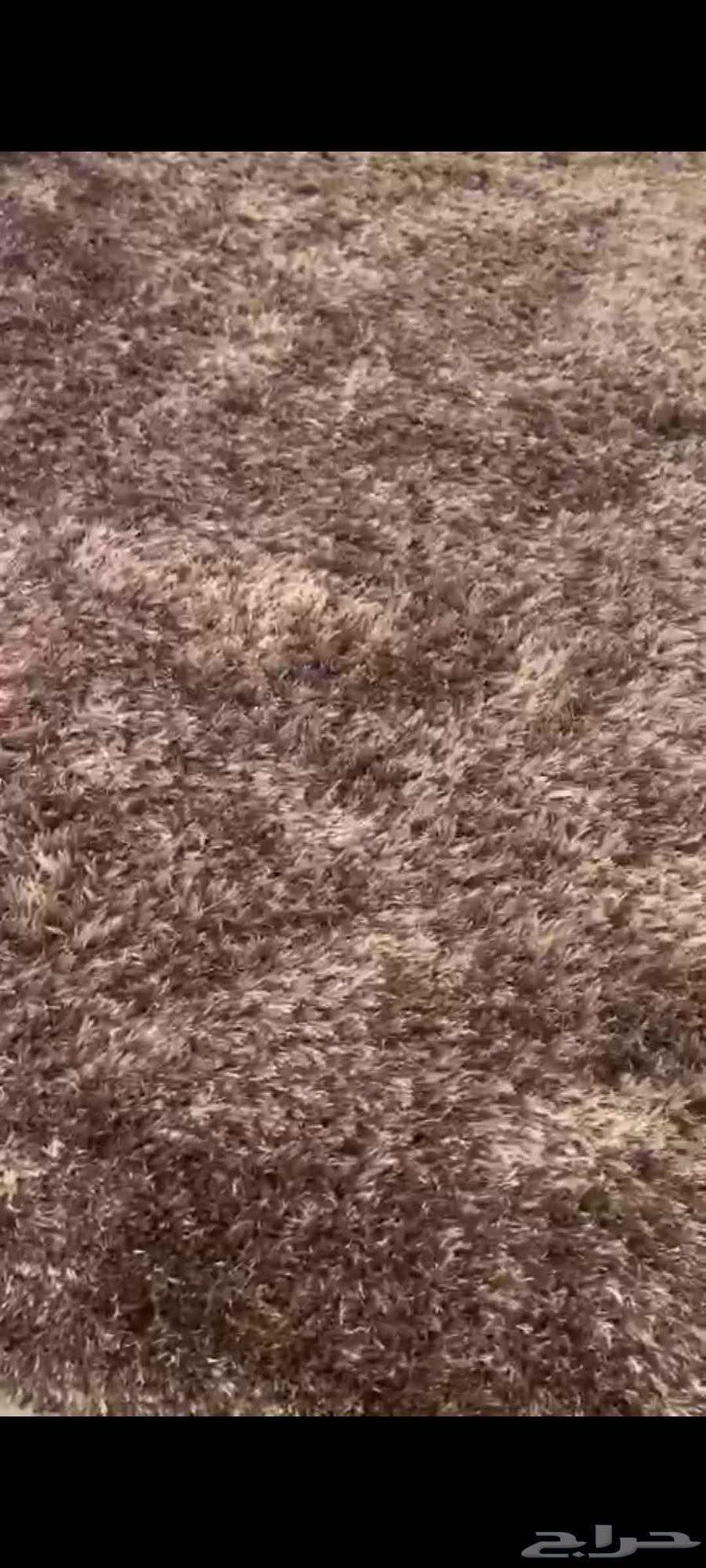 فرشه شبهه جديده استخدام بسيط جدا64620442294658110
