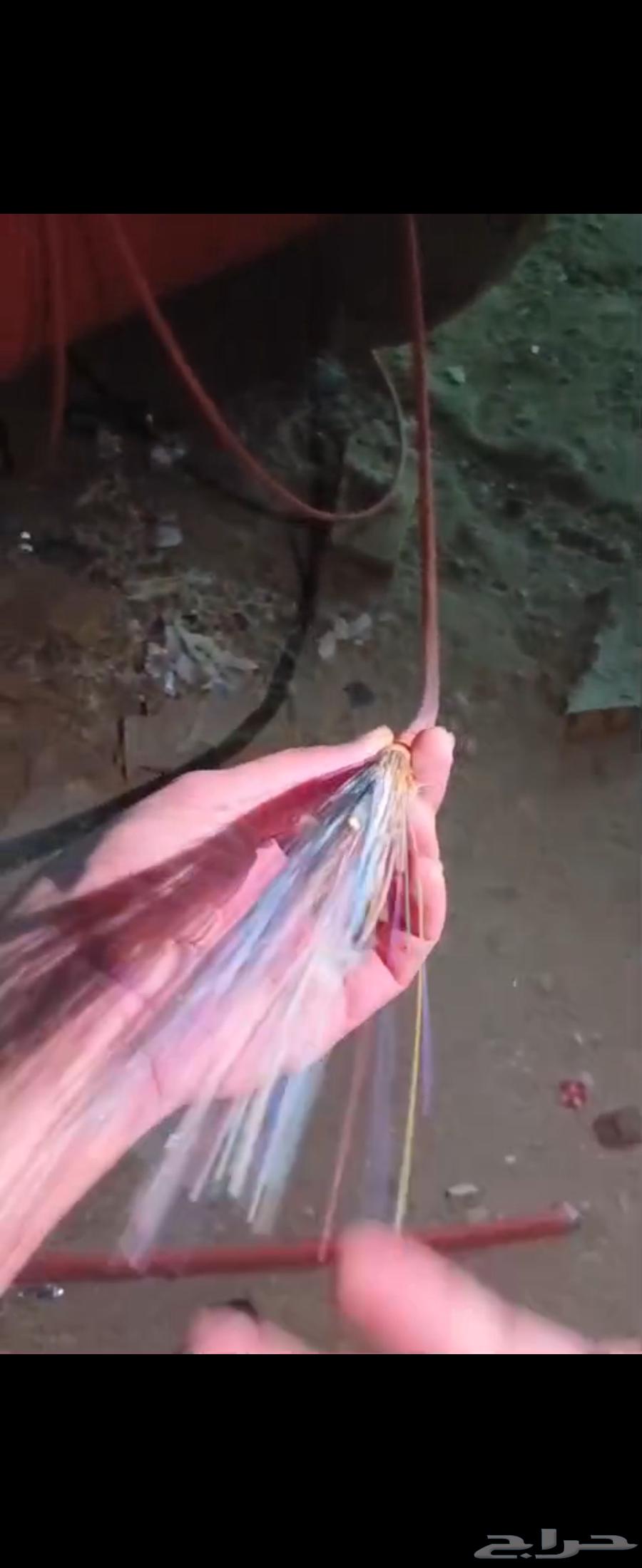 لفتين كيابل فايبر حجم كبير وكيبل تري64616443560577112